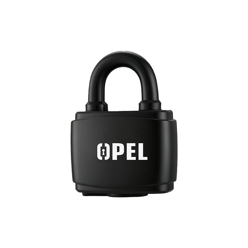 Bwqc-n1 Lacăt cu carcasă impermeabilă — Deschiderea directă, construcție PVC-Fier-Cupru, pentru dulapuri, uși de încăperi și depozite, marcă privată autorizată