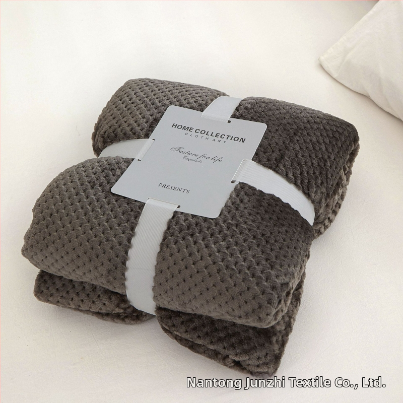 Koralinio fliso pledas, poliesterio pluoštas, 300gsm, pavasaris ir ruduo, pritaikymas prieinamas