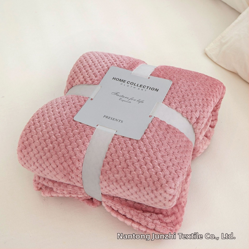 Koralinio fliso pledas, poliesterio pluoštas, 300gsm, pavasaris ir ruduo, pritaikymas prieinamas