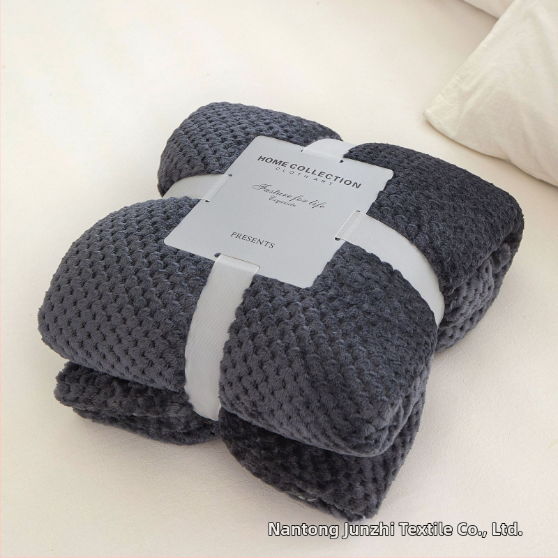 Koralinio fliso pledas, poliesterio pluoštas, 300gsm, pavasaris ir ruduo, pritaikymas prieinamas