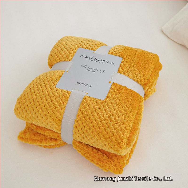 Koralinio fliso pledas, poliesterio pluoštas, 300gsm, pavasaris ir ruduo, pritaikymas prieinamas