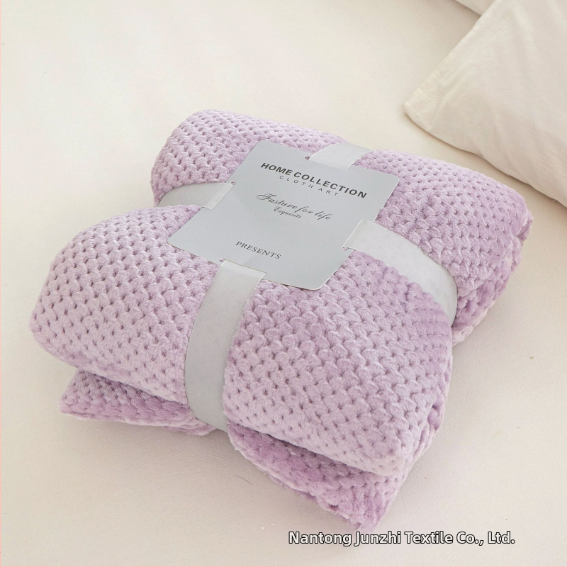 Koralinio fliso pledas, poliesterio pluoštas, 300gsm, pavasaris ir ruduo, pritaikymas prieinamas