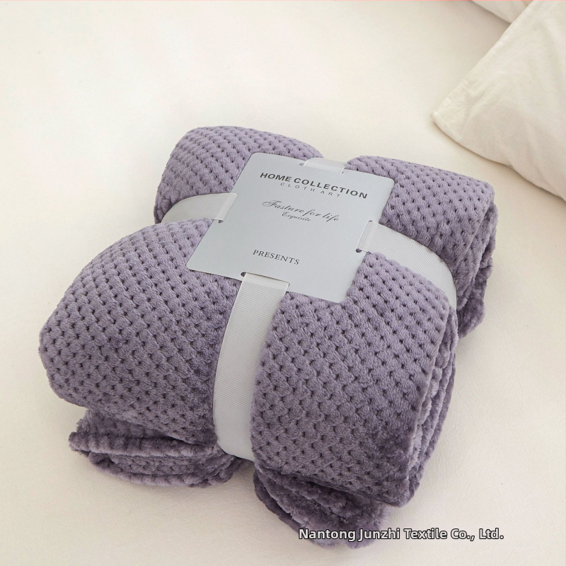 Koralinio fliso pledas, poliesterio pluoštas, 300gsm, pavasaris ir ruduo, pritaikymas prieinamas