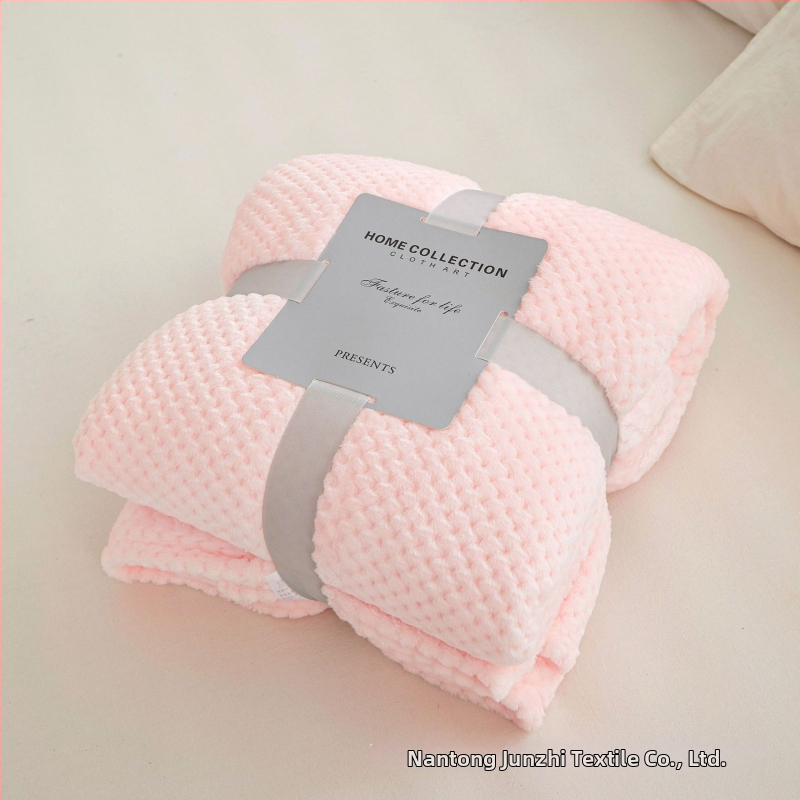 Koralinio fliso pledas, poliesterio pluoštas, 300gsm, pavasaris ir ruduo, pritaikymas prieinamas