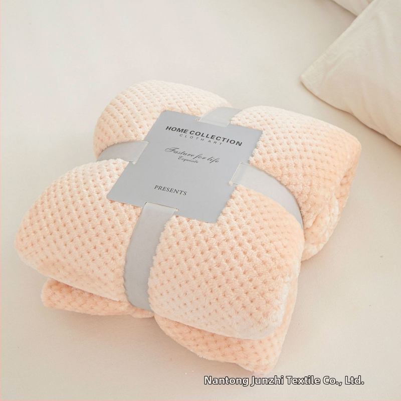 Koralinio fliso pledas, poliesterio pluoštas, 300gsm, pavasaris ir ruduo, pritaikymas prieinamas