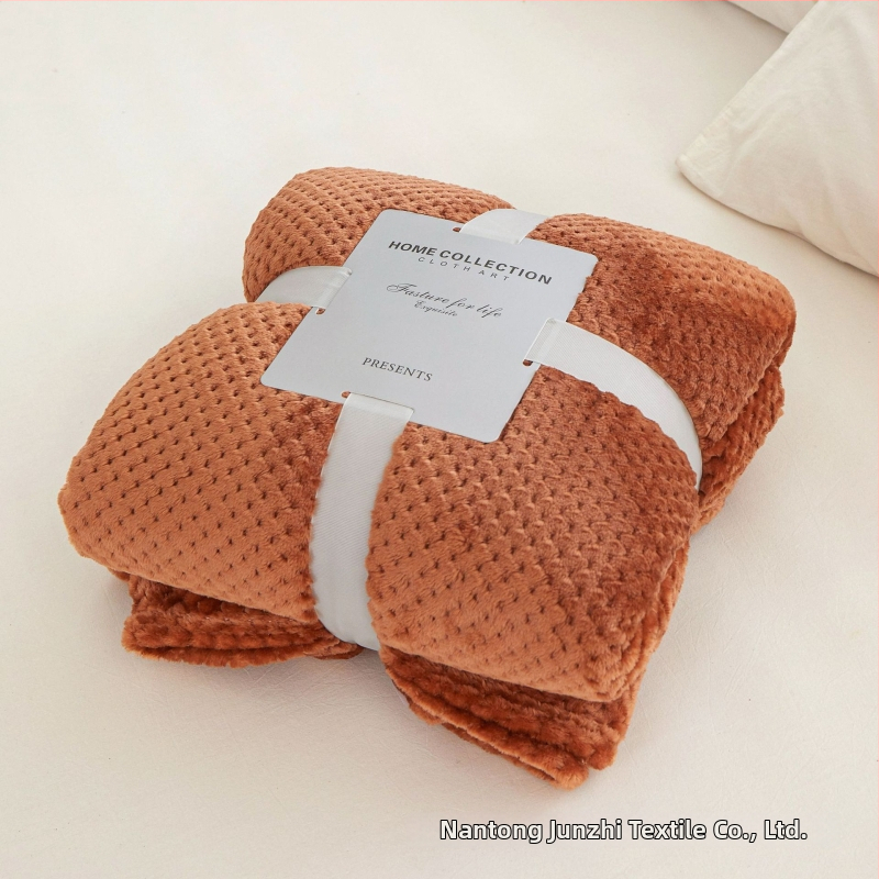 Koralinio fliso pledas, poliesterio pluoštas, 300gsm, pavasaris ir ruduo, pritaikymas prieinamas