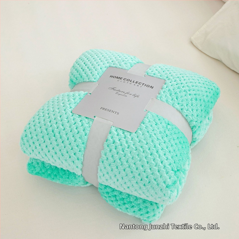 Koralinio fliso pledas, poliesterio pluoštas, 300gsm, pavasaris ir ruduo, pritaikymas prieinamas