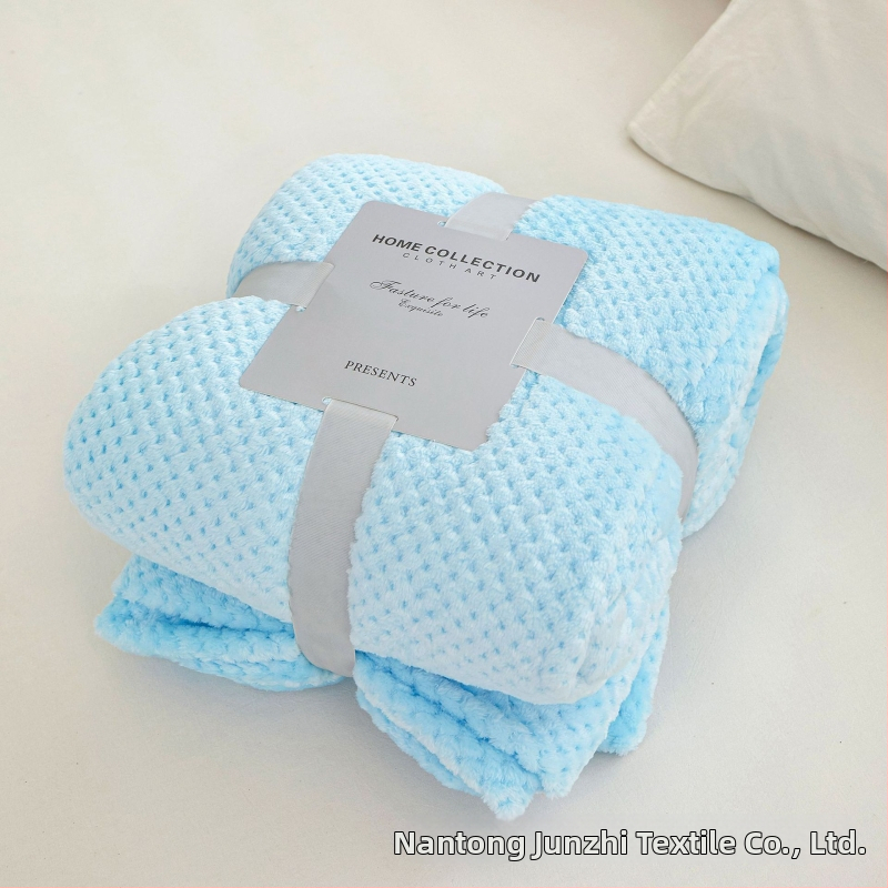 Koralinio fliso pledas, poliesterio pluoštas, 300gsm, pavasaris ir ruduo, pritaikymas prieinamas