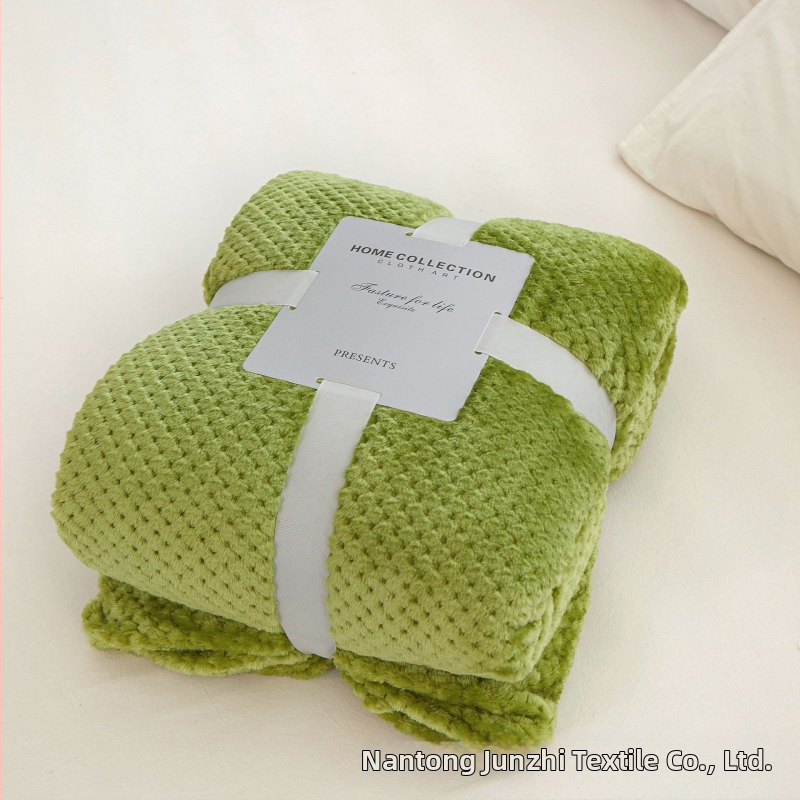 Koralinio fliso pledas, poliesterio pluoštas, 300gsm, pavasaris ir ruduo, pritaikymas prieinamas