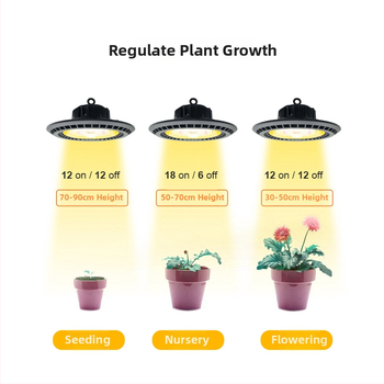 Augalų augimo lemputė BY-ZWFD-CY-100, 259 LED, 2400 lm, IP65, 100-277V