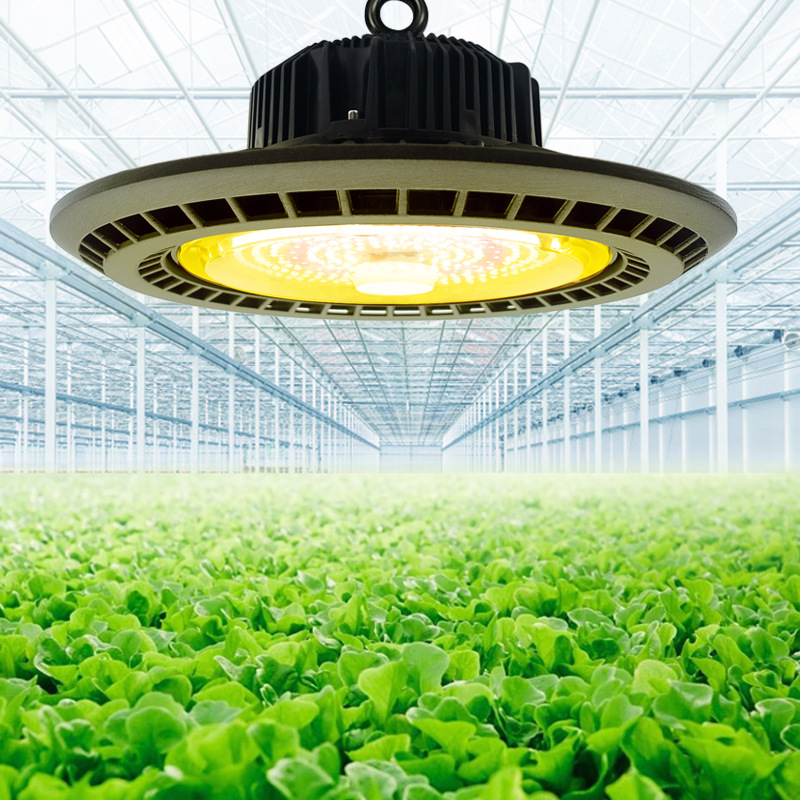 Augalų augimo lemputė BY-ZWFD-CY-100, 259 LED, 2400 lm, IP65, 100-277V