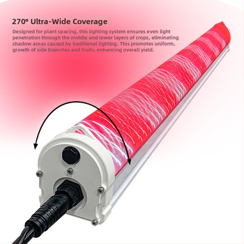 LED augalų auginimo šviesa - 120W, 336 LED, 100-277V, IP65, PWM reguliavimas