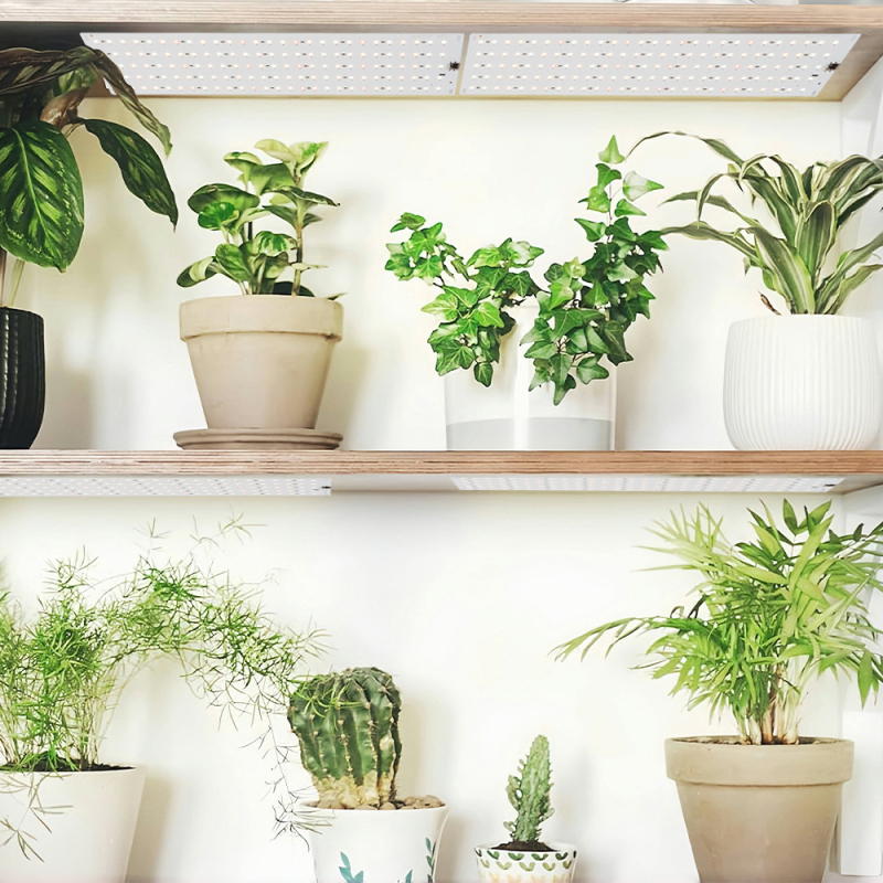 LED plokštė augalų augimui viduje – pilnas spektras, 540 LED, 12V įėjimas, 700 lm, IP54