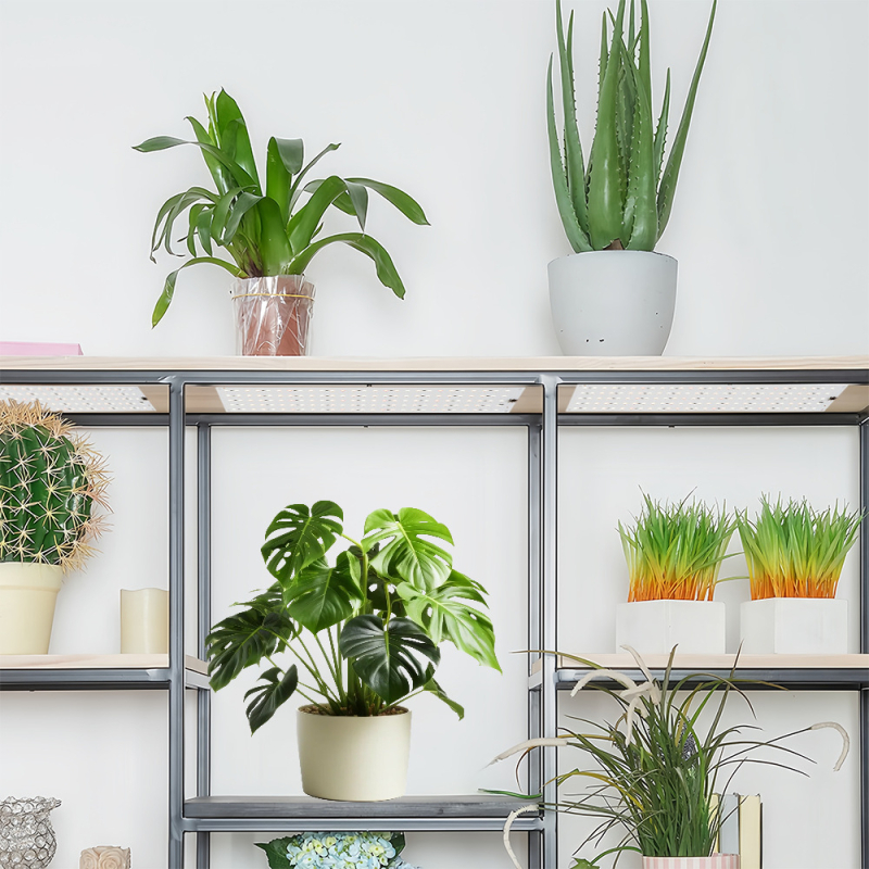 LED plokštė augalų augimui viduje – pilnas spektras, 540 LED, 12V įėjimas, 700 lm, IP54