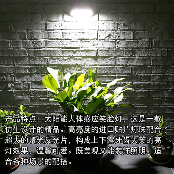 Ηλιακό LED φωτιστικό τοίχου εξωτερικού χώρου με αισθητήρα κίνησης PIR, Cree LED, IP65, 2W