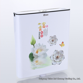 Klozeto plovimo bakelis klozetui klektojo - PP medžiaga, 4-8L plovimas, rankinis valdymas, sieninis drenažas, Essence Antelope