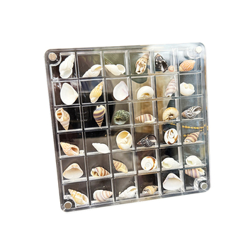 Akrilinė magnetinė dėžutė su kriauklių motyvu nuotraukų rėmeliu, vienpusė ir dvipusė, mini papuošalų laikymo dėžutė, modernus paprastumas