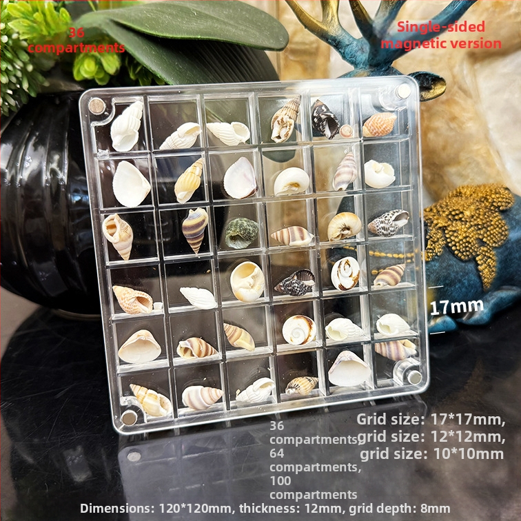 Akrilinė magnetinė dėžutė su kriauklių motyvu nuotraukų rėmeliu, vienpusė ir dvipusė, mini papuošalų laikymo dėžutė, modernus paprastumas