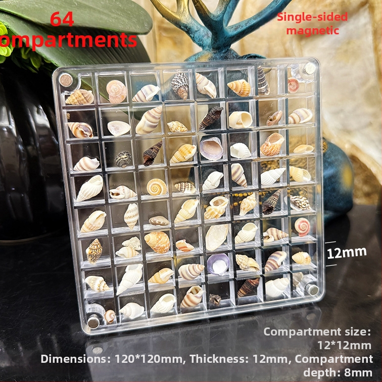 Akrilinė magnetinė dėžutė su kriauklių motyvu nuotraukų rėmeliu, vienpusė ir dvipusė, mini papuošalų laikymo dėžutė, modernus paprastumas