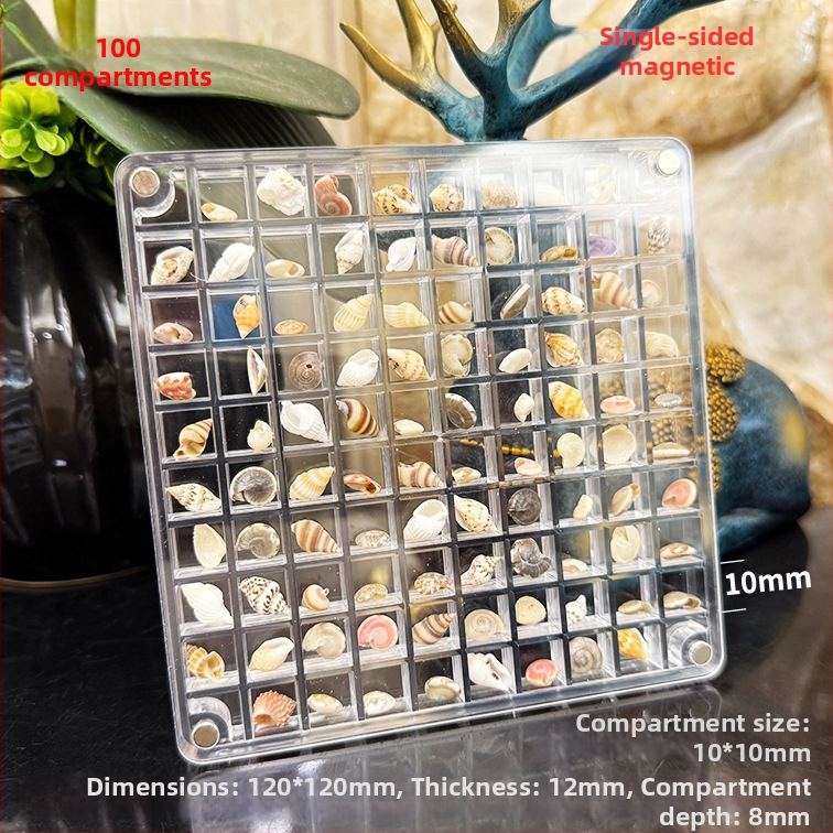 Akrilinė magnetinė dėžutė su kriauklių motyvu nuotraukų rėmeliu, vienpusė ir dvipusė, mini papuošalų laikymo dėžutė, modernus paprastumas