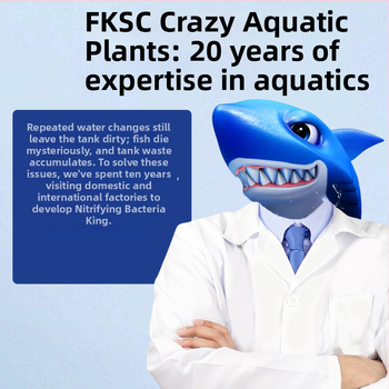 Nitrifikacijų bakterijų skystis akvariumui – vandens kokybės stabilizatorius, akvariumo įranga, prekinis ženklas Crazy aquatic plants