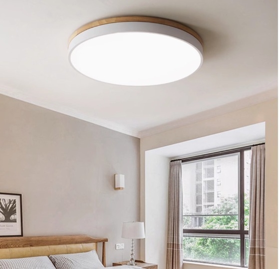 Lubų LED lemputė, modernus minimalistinis stilius, 220V, LED šviesa, dengiamas plotas 5–10㎡