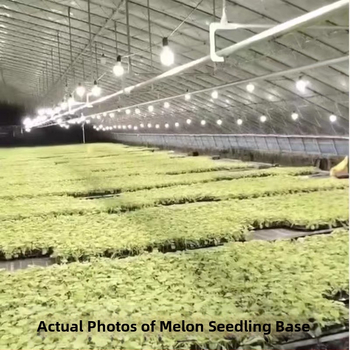 LED lemputė pilno spektrą augalų augimui, 32 LED, 2015 lm, 220V įvadas, Mullinsen lustas, 30000 h tarnavimo laikas