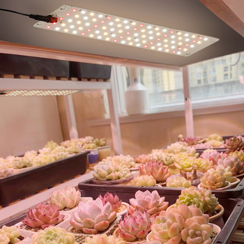 Πάνελ LED πλήρους φάσματος για ανάπτυξη φυτών, κατάλληλο για 1–4 φυτά, εσωτερική καλλιέργεια (είσοδος 12V; LED chip: Sanan optoelectronics; αριθμός LED: 150/300/450/600; IP42 προστασία; διάρκεια ζωής 50 000 h)