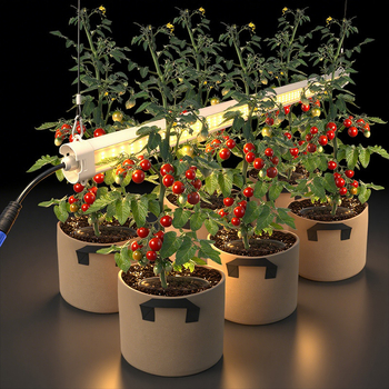 LED dvipusė augalų lemputė – 60W, 336 LED, 12007 lm, 176.4 lm/W, IP65 šiltnamiui