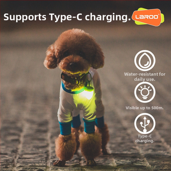 Šunų naktinis pakabukas – silikonas, įkraunamas LED, animacinis stilius, prieš praradimą