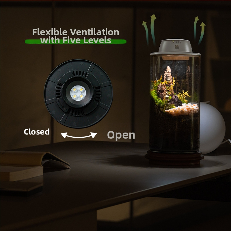 Įkraunama augalų augimo lemputė mikro kraštovaizdžiui su samanos buteliuke, pilno spektro LED, 4 LED, 140 lm, IP65, 220 V, tarnavimo laikas 3–5 metai