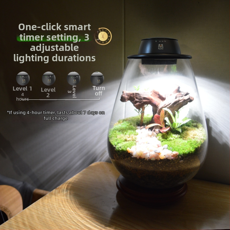 Įkraunama augalų augimo lemputė mikro kraštovaizdžiui su samanos buteliuke, pilno spektro LED, 4 LED, 140 lm, IP65, 220 V, tarnavimo laikas 3–5 metai