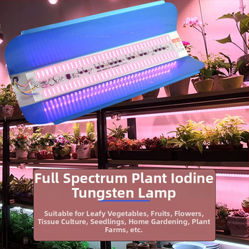 Augalų augimui LED lemputė, 100W, 100 LED, 1000 lm, IP65, tarnavimo laikas 50000 h