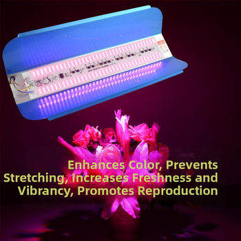 Augalų augimui LED lemputė, 100W, 100 LED, 1000 lm, IP65, tarnavimo laikas 50000 h