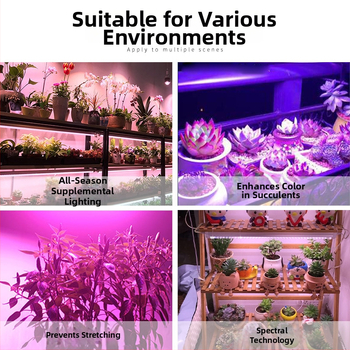 Augalų augimui LED lemputė, 100W, 100 LED, 1000 lm, IP65, tarnavimo laikas 50000 h