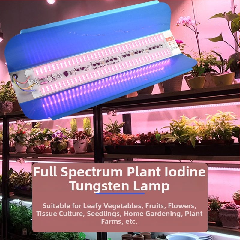 Augalų augimui LED lemputė, 100W, 100 LED, 1000 lm, IP65, tarnavimo laikas 50000 h