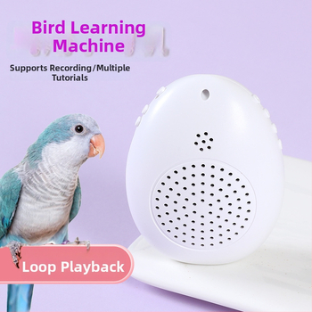 Paukščių kalbos mokymo įrenginys – papūgos kalbos treniruoklis, plastikinis korpusas, prekės ženklas Happy Parrot, skirtas paukščiams