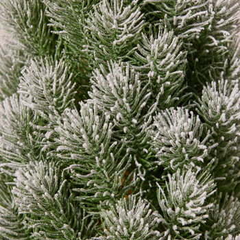 Sintean/xinte’an PE Kalėdinė stalo eglutė – Kalėdinė dekoracija, medžiaga PE; prekinis ženklas Sintean/xinte’an; kategorija Kalėdinė eglutė; paskirtis: stalinis dekoras