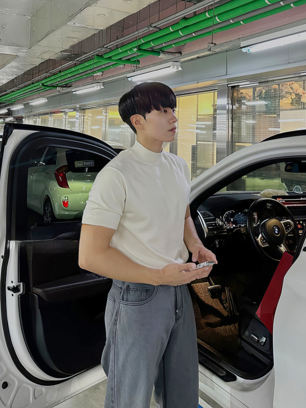Kootud T-särk lühikeste käistega, ümmarguse kaelusega, polüester, ühtlane muster, lai laia lõige