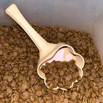 Katės šėrimo šaukštas, medžiaga 20213, naminių gyvūnų maisto šaukštas, dėžutėje 180 vienetų