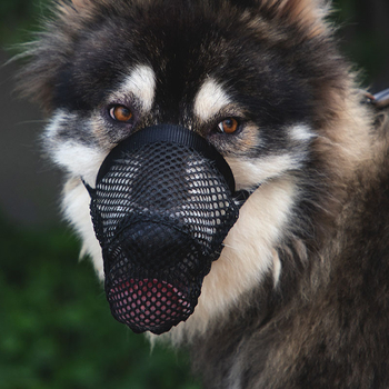 Μάουζλ για Μπιχόν Φριζέ και μικρά σκυλιά – πολυεστέρας, μη εισαγόμενο, μάρκα Άλλο, προστασία από δάγκωμα και γλείψιμο, αποφυγή τυχαίας κατάποσης