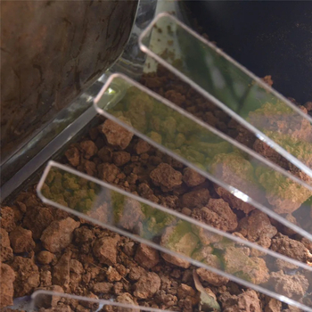 Akrilne vanjske oznake biljaka – klasifikacija i identifikacija biljaka za vrt i povrće