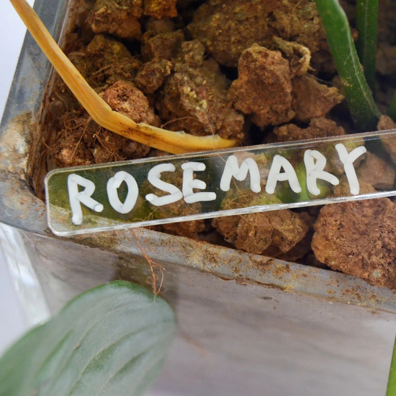 Akrilne vanjske oznake biljaka – klasifikacija i identifikacija biljaka za vrt i povrće