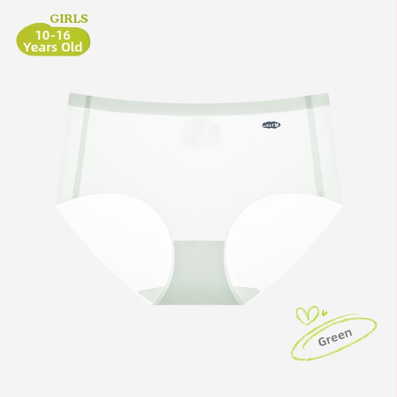 Dámske Ice Silk bezšvové nohavičky – bez viditeľných švíkov, rýchloschnúce, priedušné, antibakteriálne, stredný pás