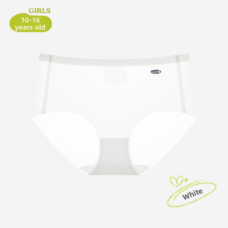 Dámske Ice Silk bezšvové nohavičky – bez viditeľných švíkov, rýchloschnúce, priedušné, antibakteriálne, stredný pás