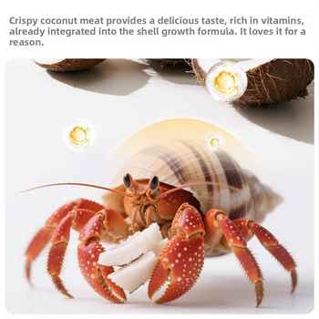 Hermit Crab toit – Freeze-Dried kookospähkli helbed, kuivatatud krevett, kaltsiumilisand – Yee, graanulidena akvaariumi lemmikloomatoit