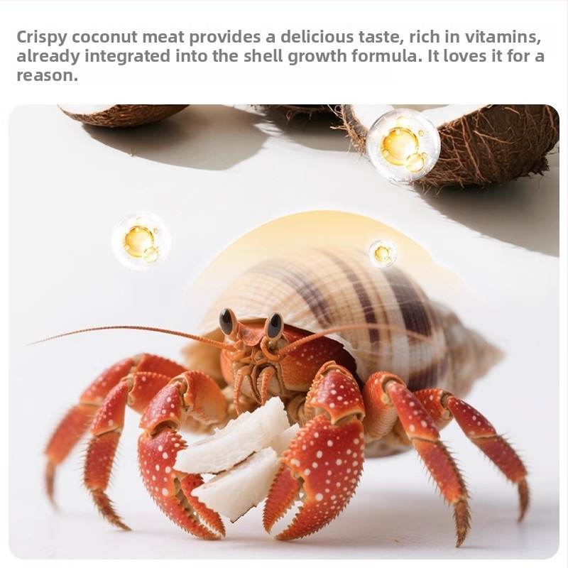 Hermit Crab toit – Freeze-Dried kookospähkli helbed, kuivatatud krevett, kaltsiumilisand – Yee, graanulidena akvaariumi lemmikloomatoit