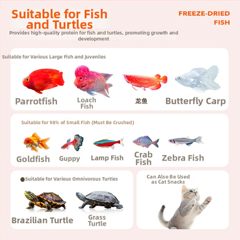 Bessen kilpkonnade toit – sügavkülmutatud kuivatatud väikesed kalad ja kuivatatud alligaatori kilpkonnakommid akvaariumikasvanikele