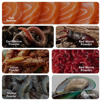 Yee kilpkonna toit – osakestega toit; Bränd: Yee; Päritoluriik: Shandong; Pakendi kogus: 1; Tüüp: akvaariumi lemmikloomatoit