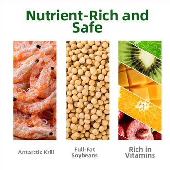 Kilpkonnade teravilja toit – akvaariumi lemmikloomade toit, 800 g, pakk 10, kaubamärk BESSN